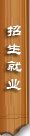 栏目用于追新